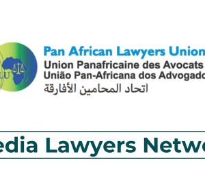The Power of Partnerships: CAJ and Its Collaboration with PALU and UNESCO